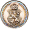 Ferdinand V., Medal 1836, Anna Marie - Coronation of the bohemian queen in Prague - RR